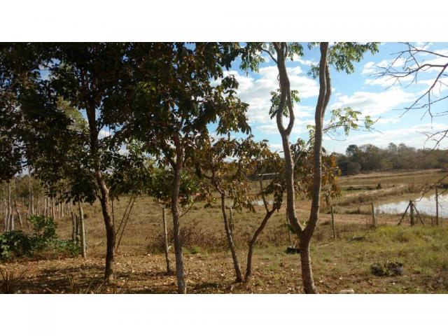 Chácara à venda em Eldorado, Cuiaba cod:22634 - Foto 2