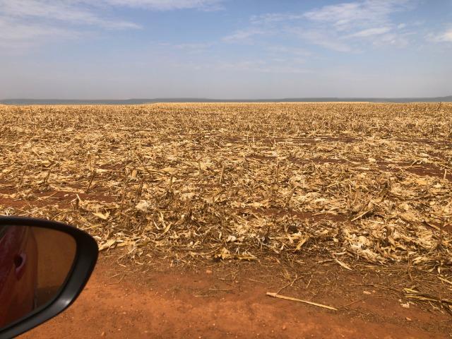 1480 Hectares, argilosa acima 40%, planta soja, algodão, milho, Diamantino-MT