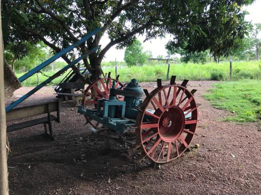 Chácara à venda em Km 21, Nossa senhora do livramento cod:CH00001 - Foto 16
