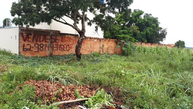 Lote em caldas novas itaguaí