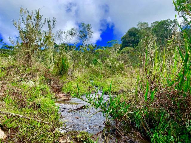 Urubici Chácaras/ sitios em Urubici/ terrenos em Urubici - Foto 10