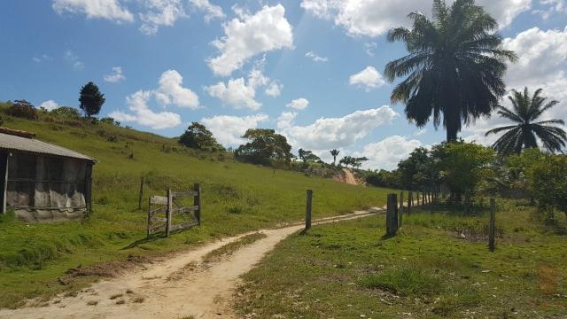 Maravilhosa Fazenda em Barrolândia, Belmonte - BA com 809 Hectares... - Foto 20
