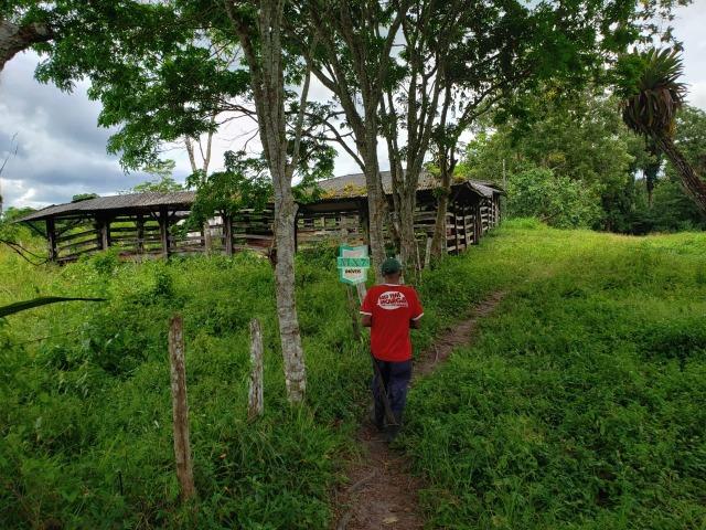 Ubaitaba. Fazenda produtiva de 139 Hectares a beira do asfalto. - Foto 9