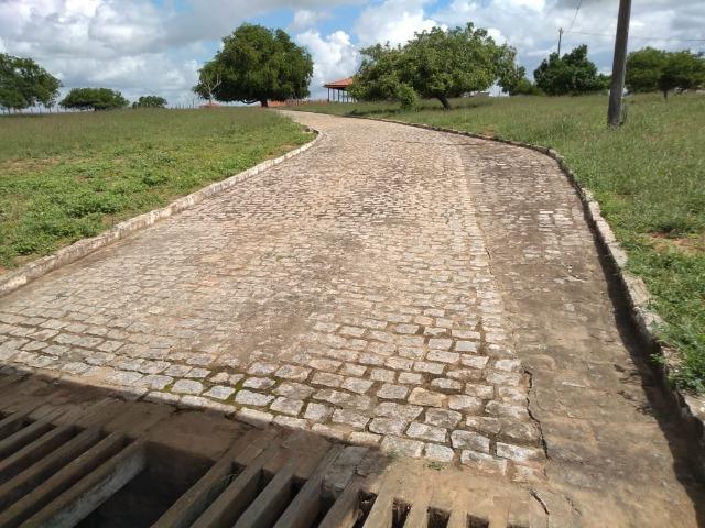 Maravilhosa fazenda na região rural de Baixa Grande Bahia, a 150 km de Feira de Santana - Foto 7