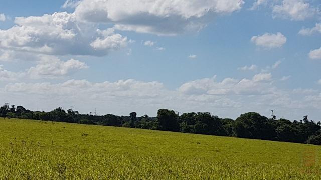 Maravilhosa Fazenda em Barrolândia, Belmonte - BA com 809 Hectares... - Foto 9