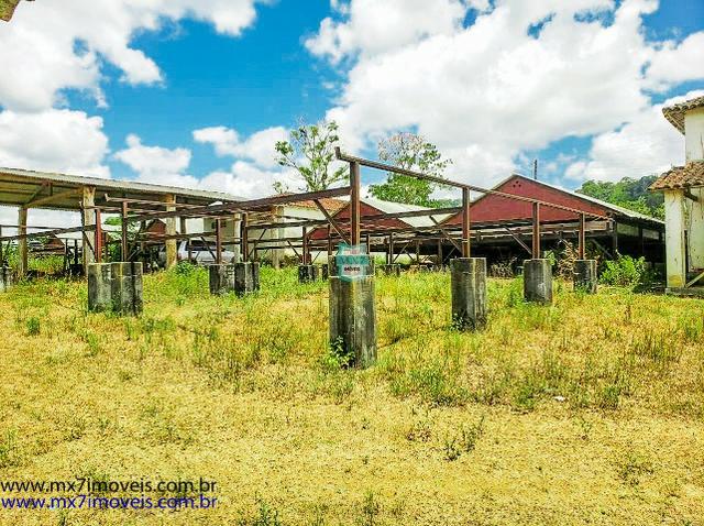 Fazenda mista de cacau e gado. Área de 203 Hectares - Foto 4