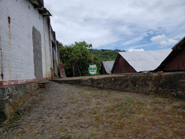 Ubaitaba. Fazenda produtiva de 139 Hectares a beira do asfalto. - Foto 3