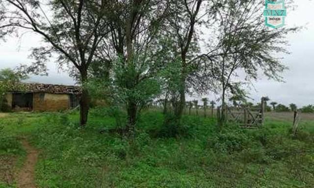 Ótima fazenda no Distrito de Serrolândia - Foto 4