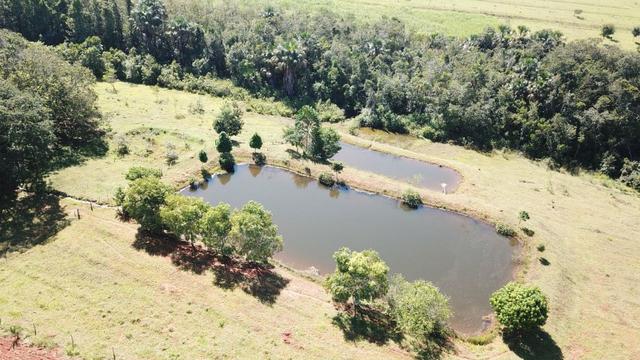 Fazenda 16.5 Alqueires ( 80 ha) Aragoiânia-GO - Foto 2
