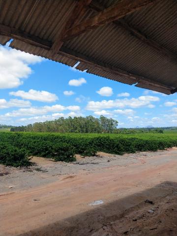 Fazenda de café ES - Foto 5