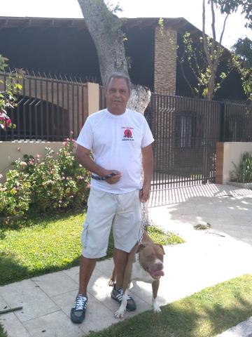 Passeador e Adestrador de cães