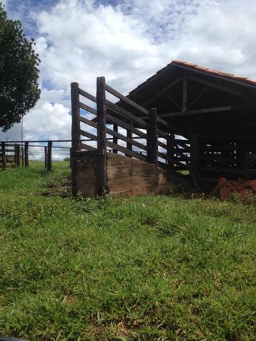 Fazenda 15 alqueires município goianira - Foto 2