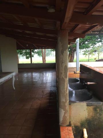Fazenda 15 alqueires município goianira - Foto 7
