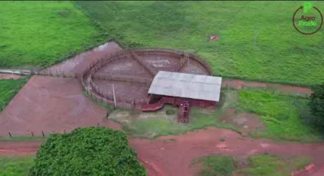 Fazenda em Goiatins. 73 mil por alqueire. - Foto 4