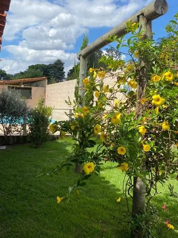 13 a 15 dezembro disponível - Foto 3