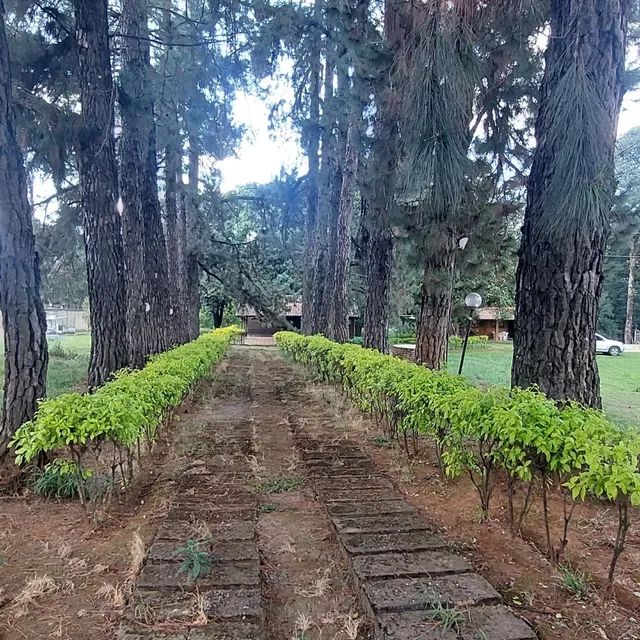 Vendo grande Área com fundo para Lagoa  - Foto 3