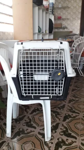 2 alimentadores automáticos para pets *COM DEFEITO* leia o anúncio