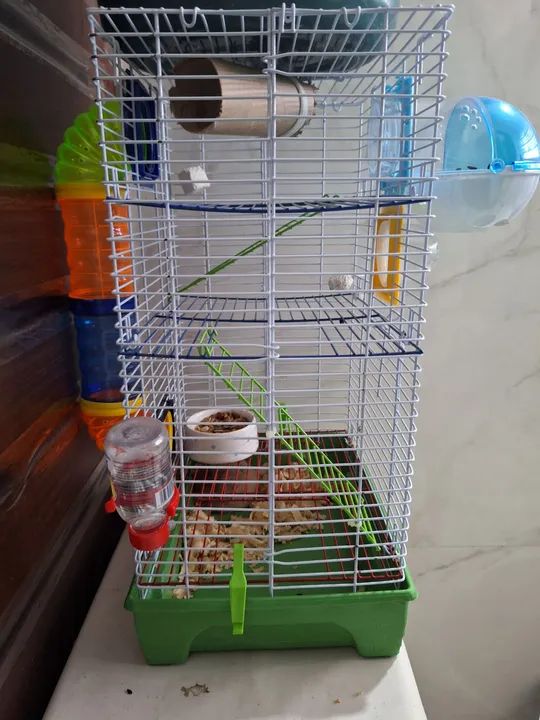 Hamster fofinho com kit completo - Foto 4