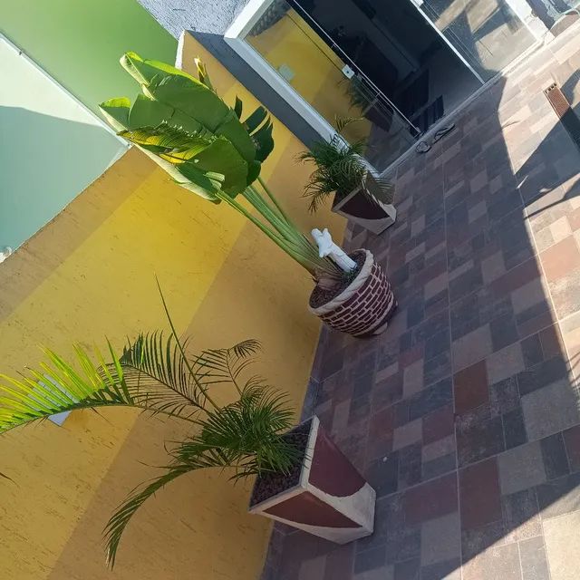 Coqueiros  - Foto 4