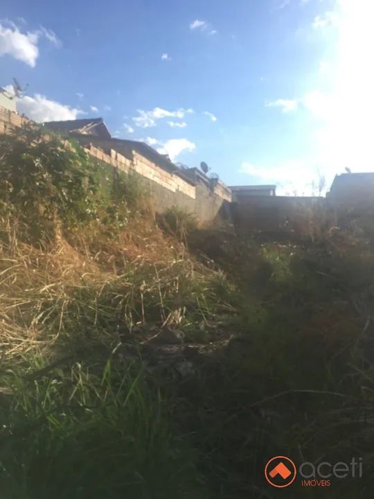 OPORTUNIDADE. LOTE COM MAIS DE 2900 MTRS PALMEIRAS - Foto 9