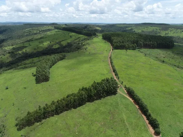 Fazenda para gado a venda em Girassol Cocalzinho de Goiás.