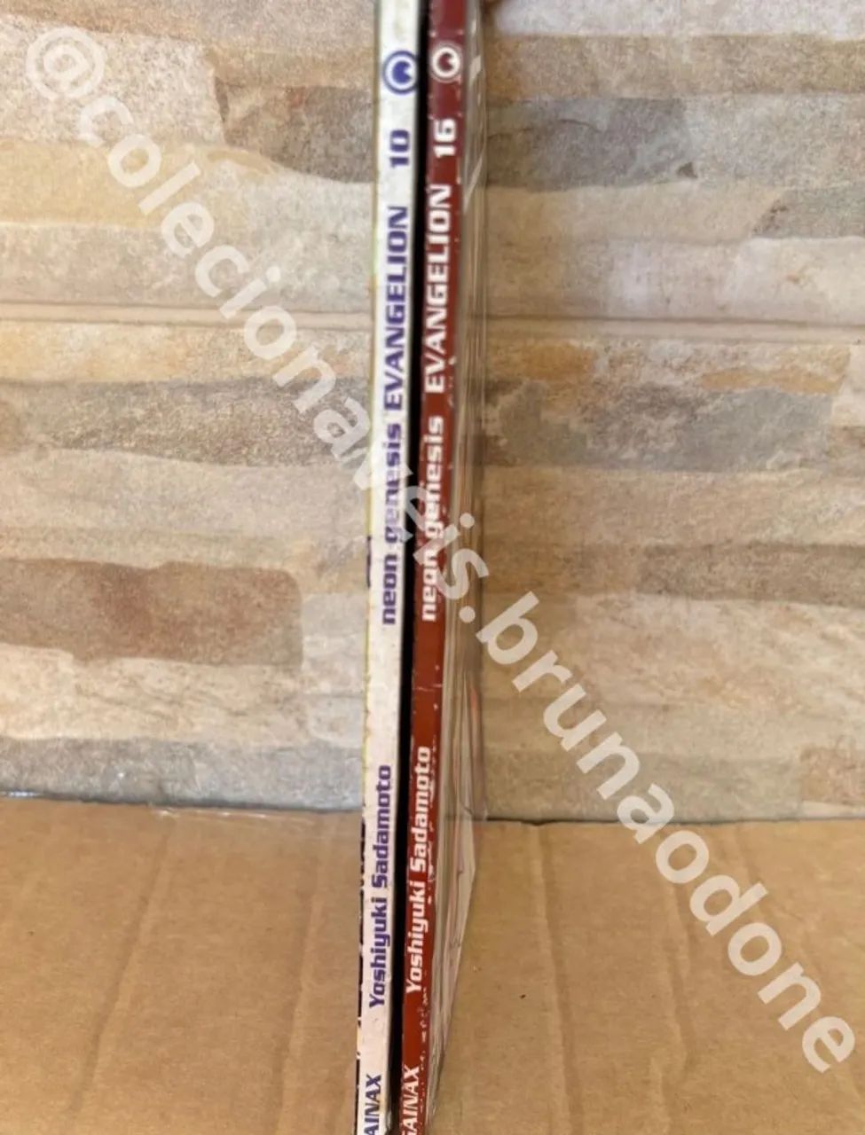 Mangá Neon Genesis Evangelion volumes 10 e 16 