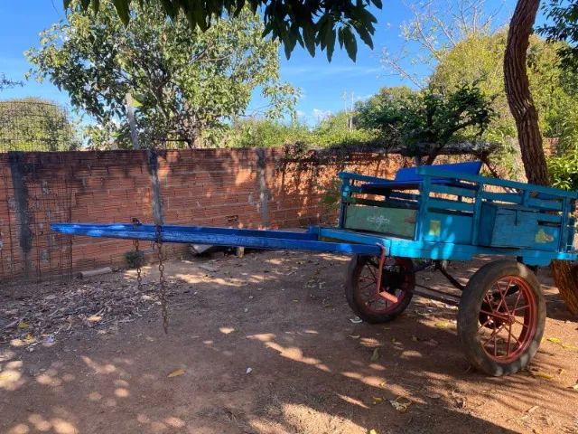 Charrete Carroça - Foto 4