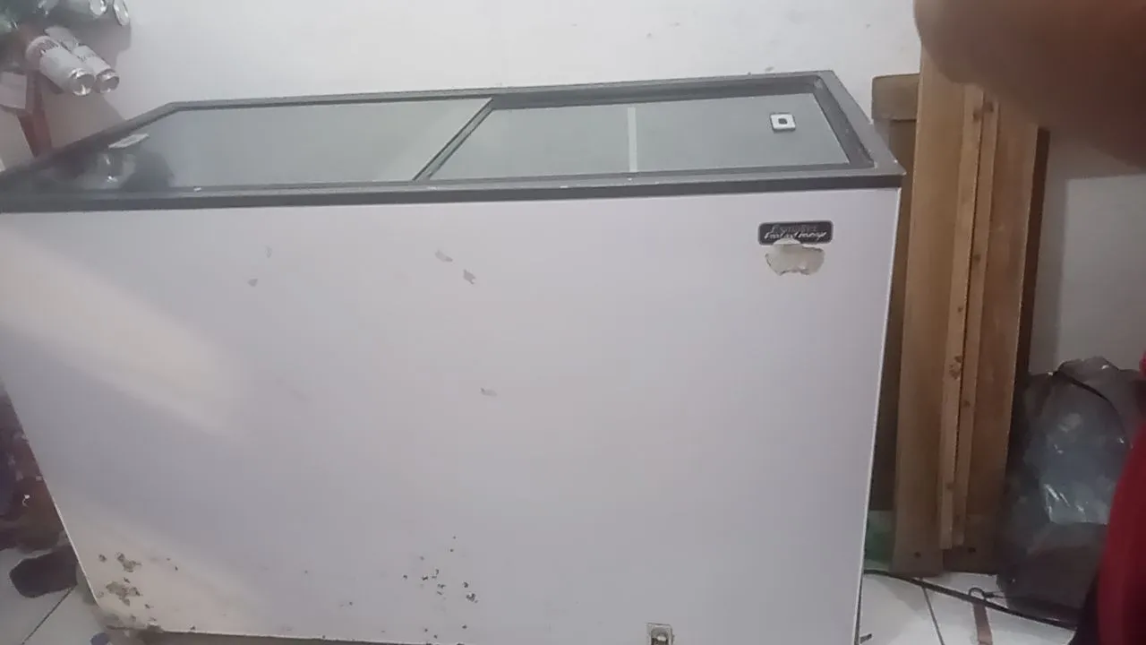 Freezer Horizontal