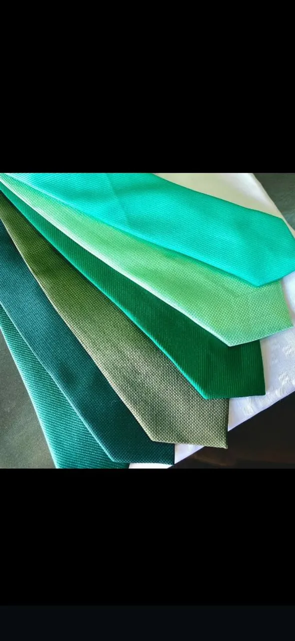 gravatas verdes variadas