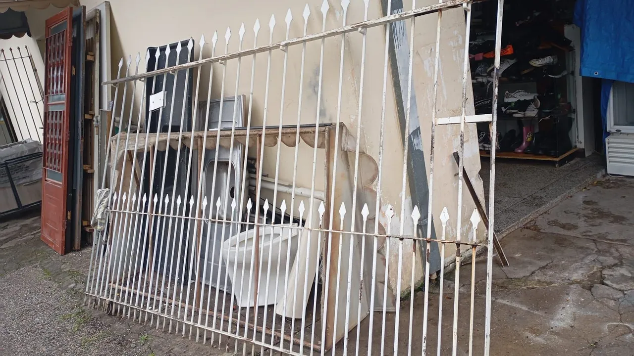 Portão de Ferro com Design