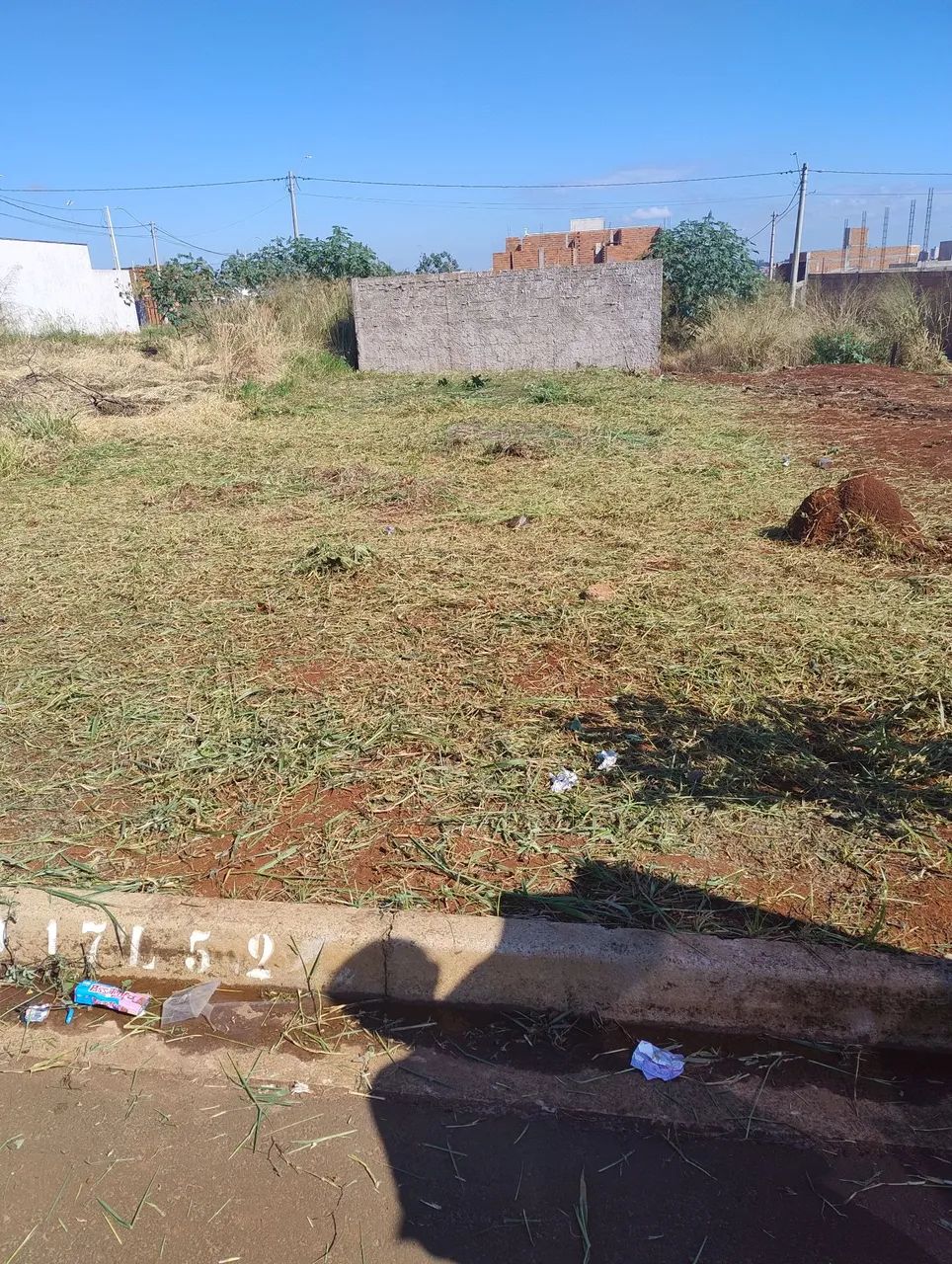 Limpeza de lote  - Foto 2