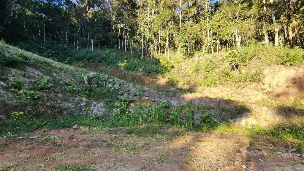 Terreno para Venda em Teresópolis, Três Córregos - Foto 7