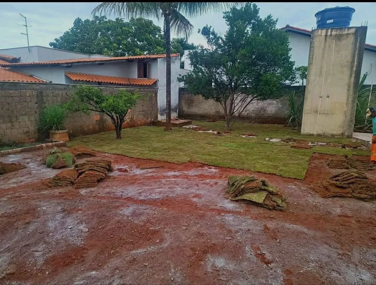 Promoção! Gramas de alta qualidade!