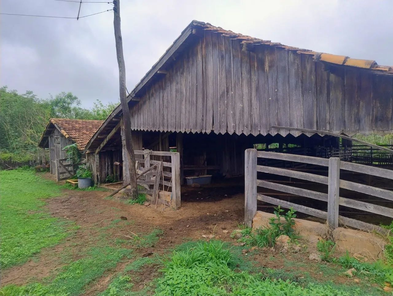 Vende ,um  barracão, uma casa e um tronco para pecuária . Oportunidade .  - Foto 4