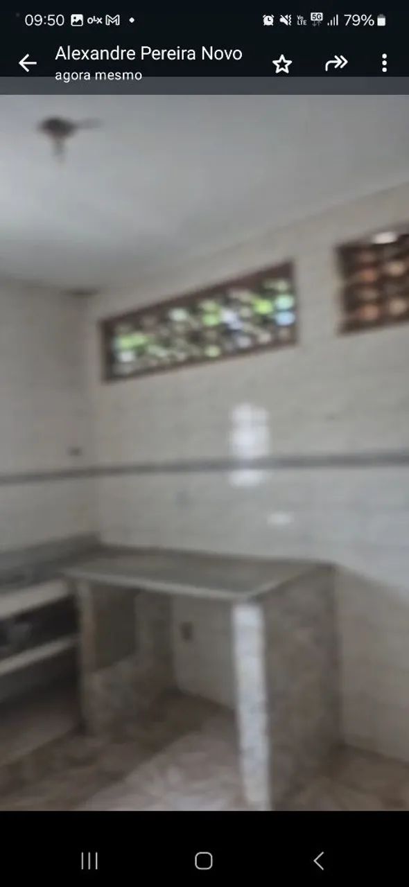 ?Sítio com piscina, loja e área de plantio - oportunidade única!?<br> - Foto 10