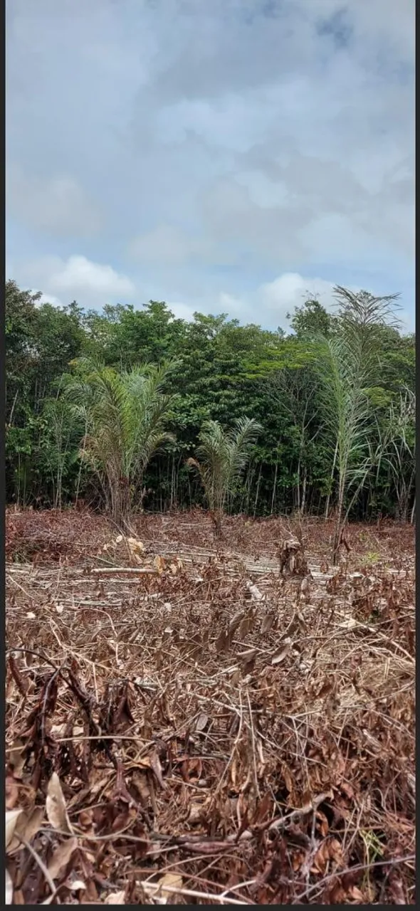Terreno na ESTRADA Am010 km 54