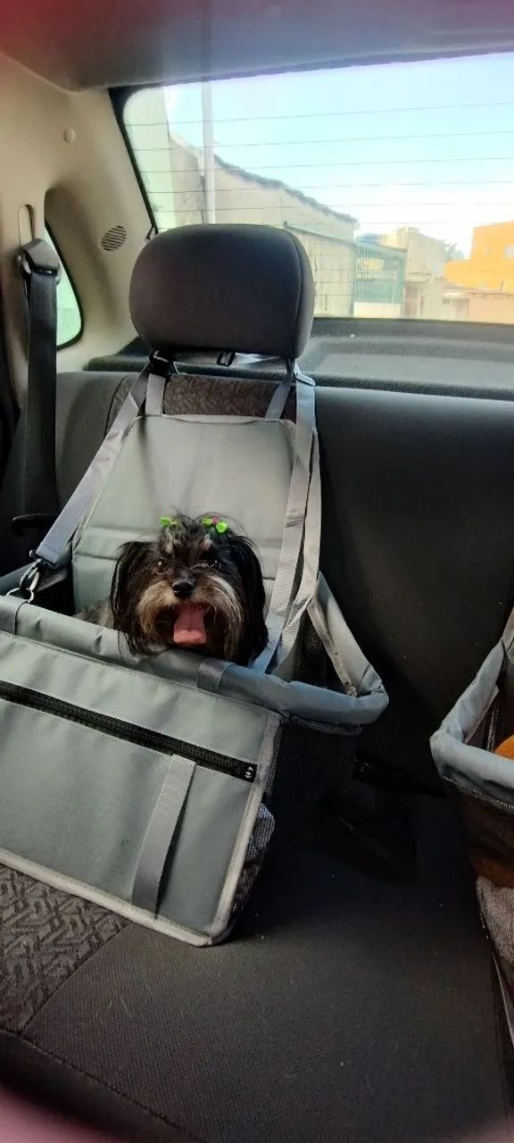 2 Cadeirinhas NOVAS  - Foto 2