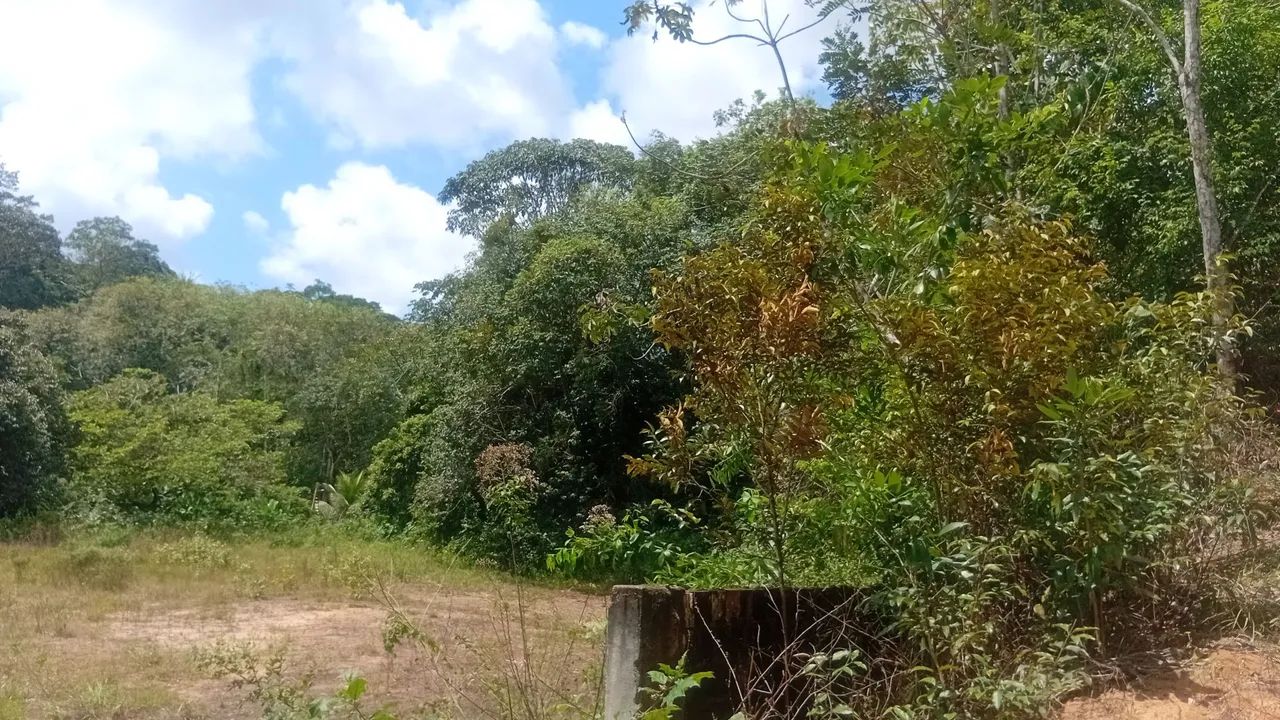 Vende Terreno em Aldeia próximo ao shopping Boulevard 1km e 250 m. R$ 180.000,00 - Foto 4