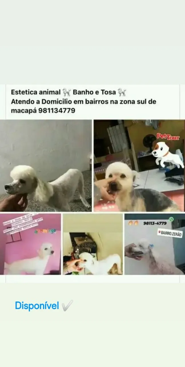 Estética Animal - Banho e Tosa em Domicílio