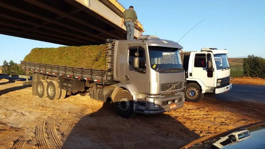 Grama Pronta Entrega Para Todo o Estado - Foto 2