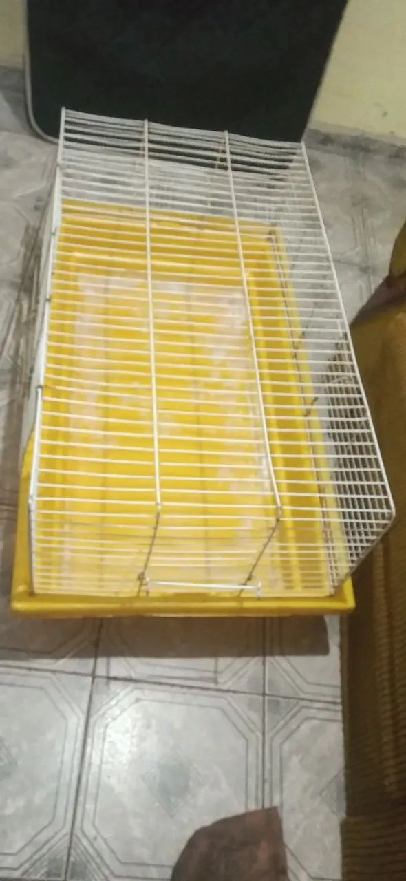 Rabbit Cage63824580265473120