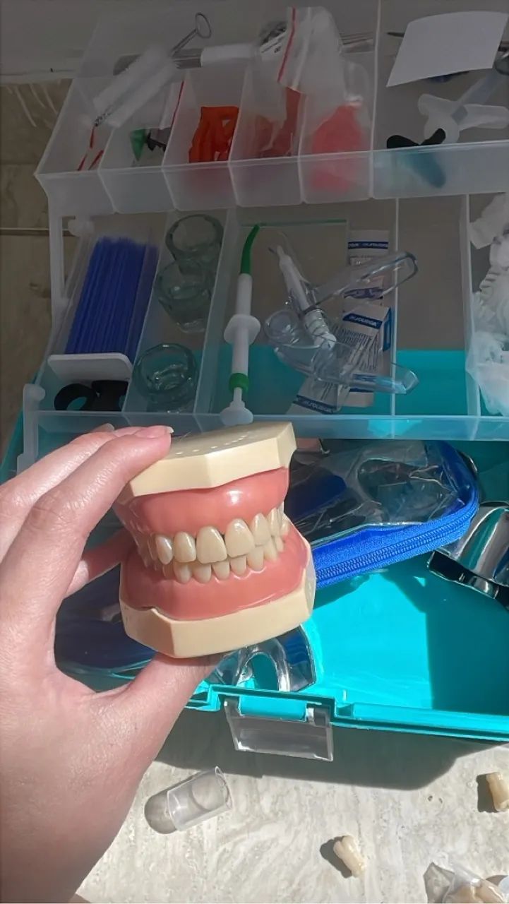 Manequim odontológico MOM