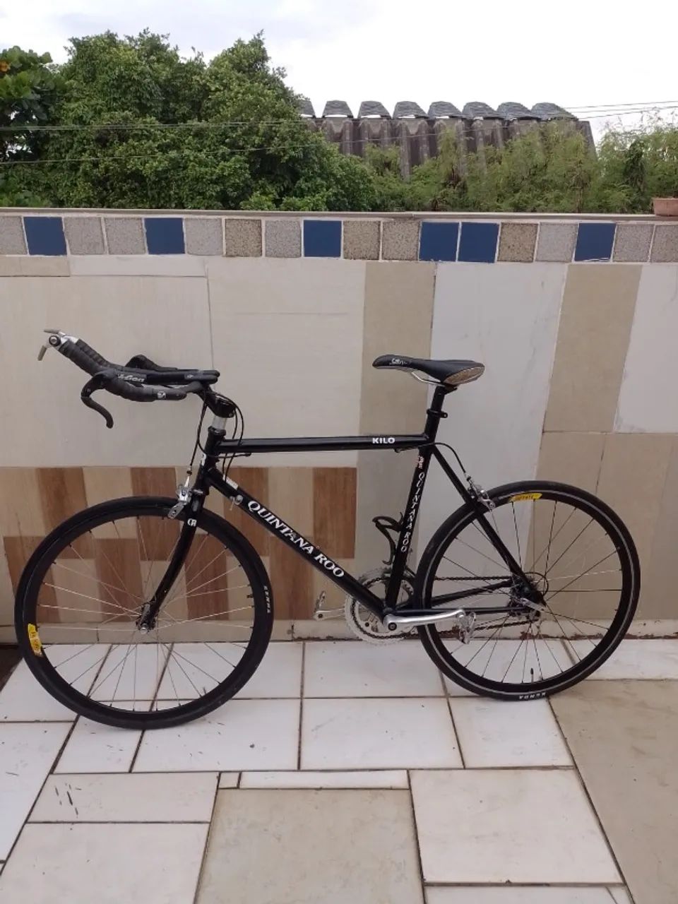 Bicicleta quintana roo
