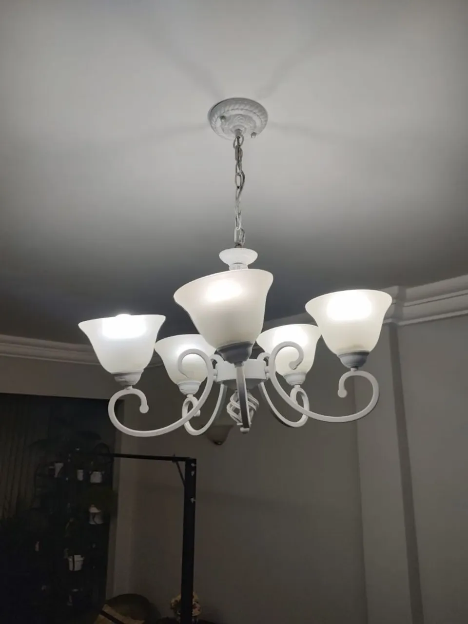Lustre clássico 5 Braços estrutura metálica Cúpulas vidro fosco. Ótimo estado!