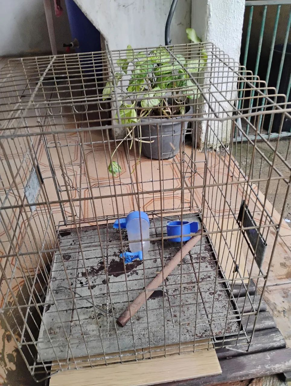 Gaiola de passarinho - Foto 3