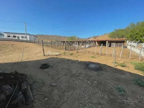 Granja com 1.3 hectares na região de Jucurutu