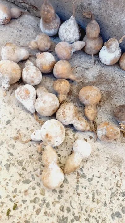 Disponível para venda  - Foto 4