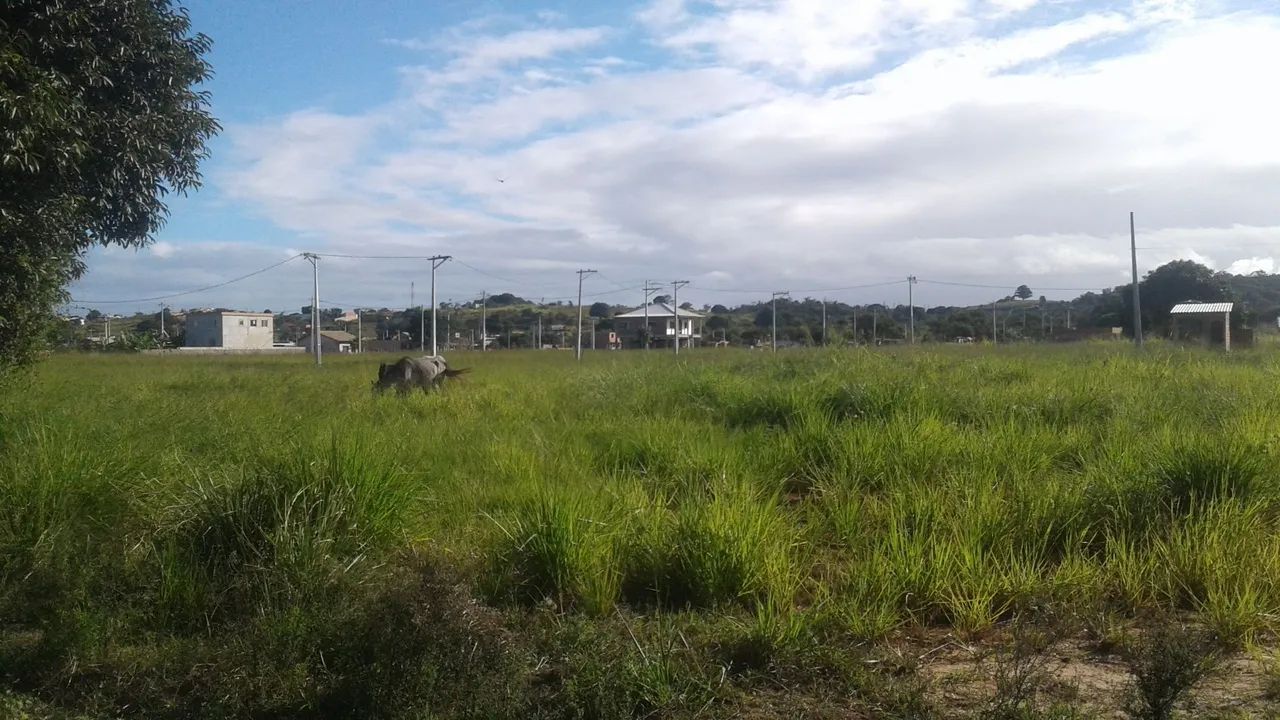 Terreno em área rural, com ótima localização!