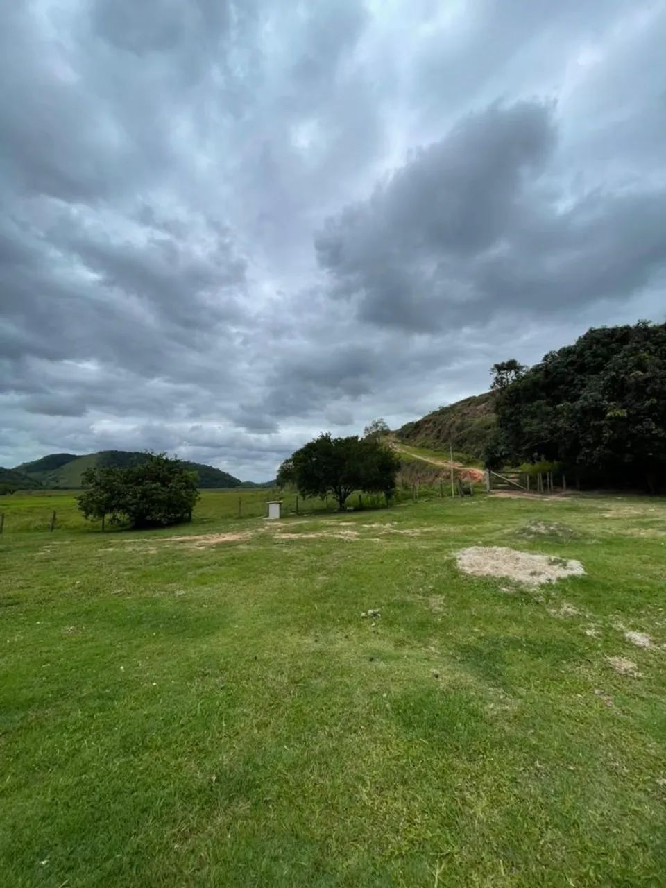 Pecuária  - Foto 10