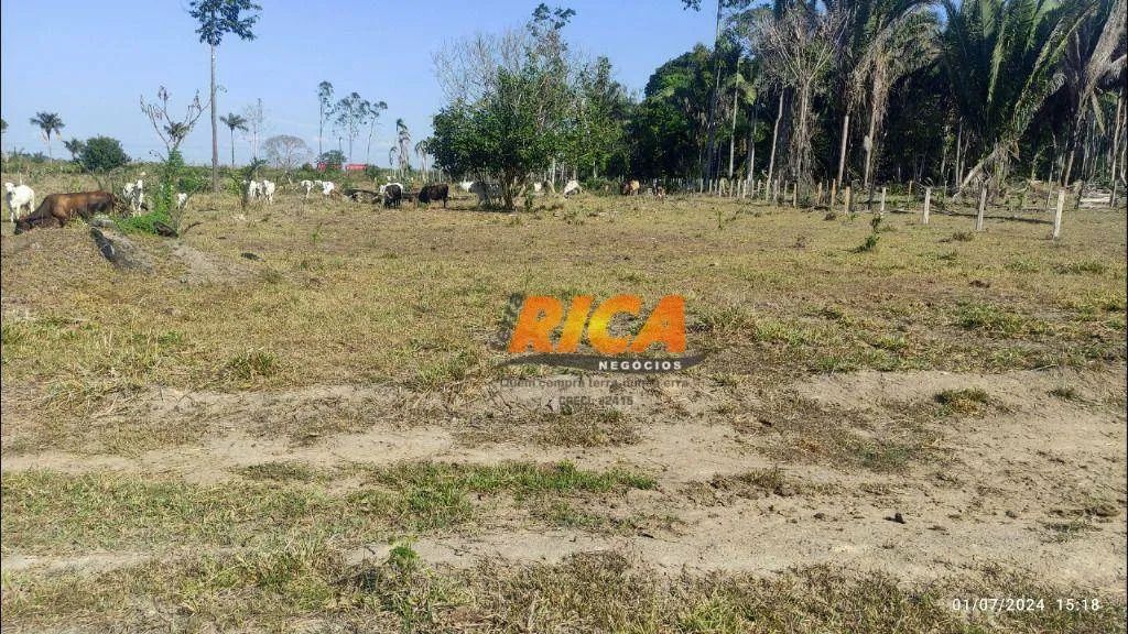 Venda de Fazenda às Margens da BR 364, Sentido Acre - Foto 3
